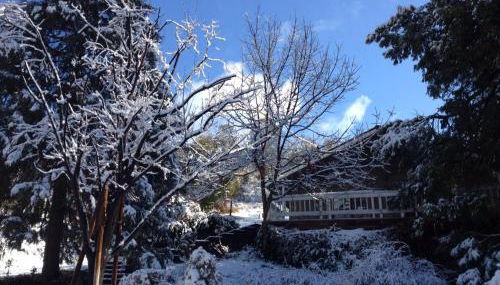 Fishermen’s Oasis - Foto 2