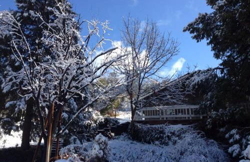 Fishermen’s Oasis - Foto 2