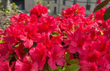 All'Arco Exclusive Apartment with Terrace - Foto 16