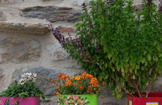 1924 Studios 4 - Foto 6