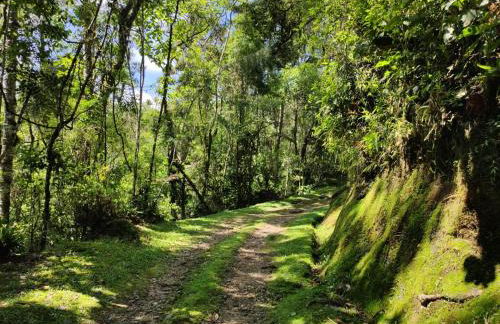Linda casa em Visconde de Mauá perto da cachoeira - Foto 58