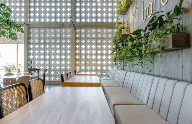 Bondo Estudio - Foto 2