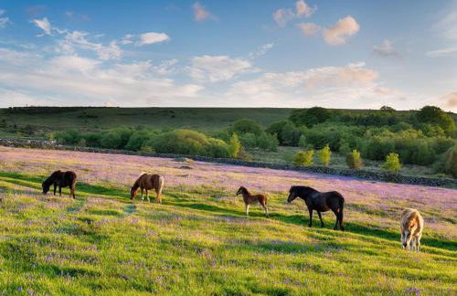 1 Bed in Yelverton oc-53533 - Foto 18