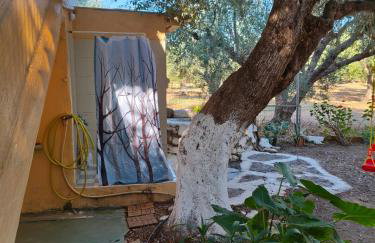 Petrohori before midnight - Foto 37