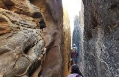 Cedar Canyon Condos - Foto 51