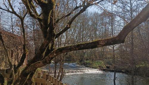 Cocon cosy et déconnecté 30min Puy du Fou - 2 chambres et 1 canapé lit - Foto 2