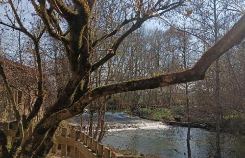 Cocon cosy et déconnecté 30min Puy du Fou - 2 chambres et 1 canapé lit - Foto 2