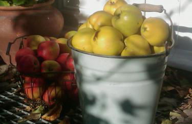 Hofboddenblick - Foto 36