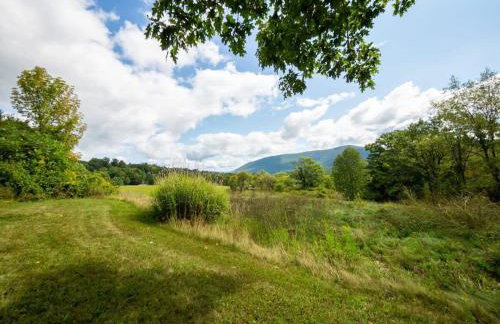 Berkshire Vacation Rentals: Renovated Five Bedrooms In Historic Williamstown - Foto 67