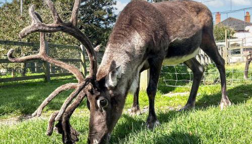 2 Bed in Whitwell oc-o33499 - Foto 3, Other