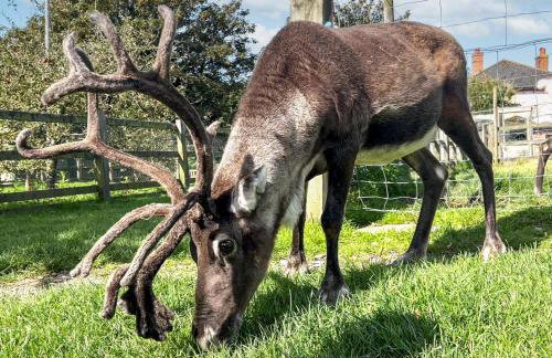 2 Bed in Whitwell oc-o33499 - Foto 3