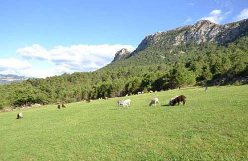 Casa Carlota - Foto 40