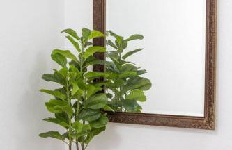 Casa Bohemia | 5* Location, Amenities | EV Charger - Foto 13