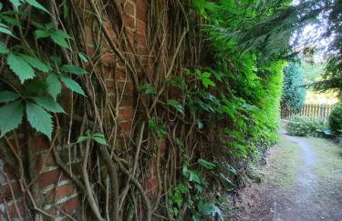 Avalon Połchowo - Foto 12