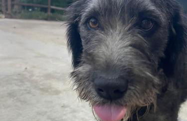 Casa na Quinta - Foto 31