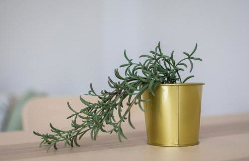 La Lajita Barca Beach Sand - Photo 10