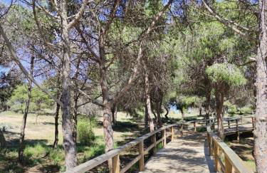 Pórtico Mediterráneo - Foto 31