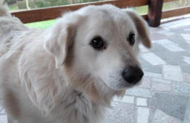 Kuća za odmor"Miran san" - Foto 25