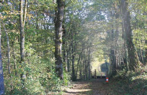 L'esquirou - Foto 24