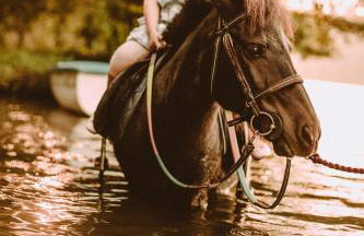 Przystań na Zagórzu - Apartamenty nad jeziorem - Foto 45