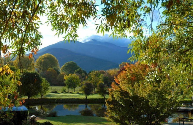 Eco Villa Mt Beauty Near Falls Creek & Bright - Photo 35
