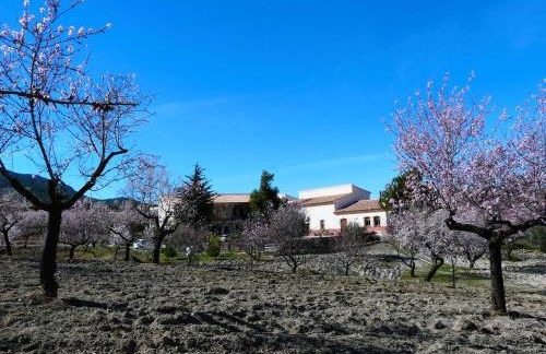 Cortijo La Estrella - Foto 67