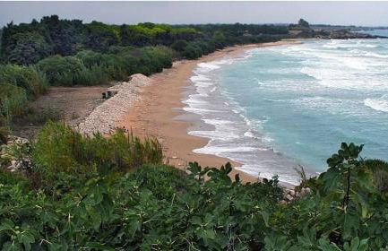 Nice House wifi free bici free - Foto 21