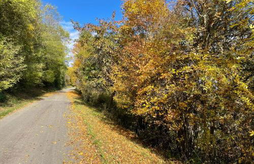 Ferienwohnung Nagoldtalblick - Foto 18