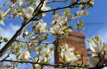 Luxury Cottage Dog friendly with Hot Tub - Foto 13