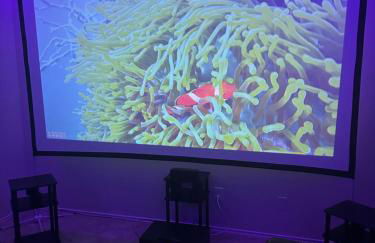 Huge Captivating Modern 5Bdr home-(The Xperience) - Foto 23