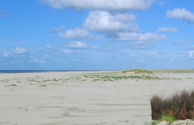 Old Printing House Holiday Apartment Bodoni - Foto 17