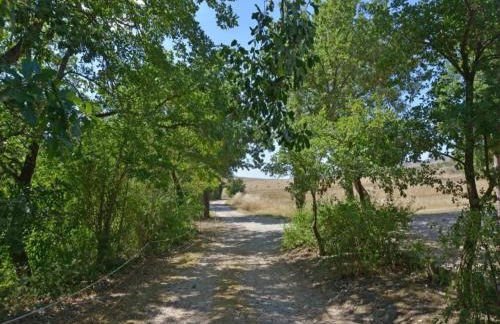 Spacious Farmhouse in Pienza with Swimming Pool - Foto 70