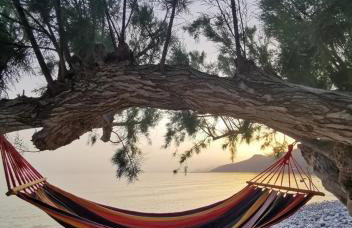 Blue Coast House - Foto 56