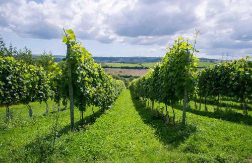 Wheelwright House - Foto 44