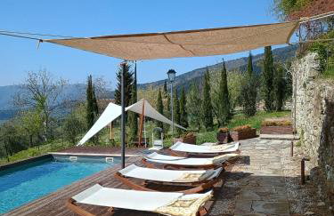 Villa Ancora Tenuta Lonciano - Photo 41