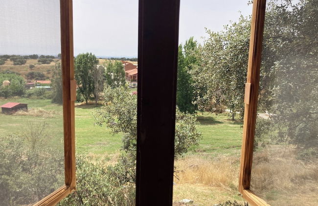 Hamlet's Friends - Foto 58