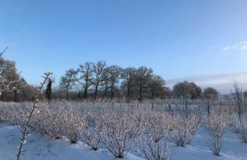 L’île aux fruits en Berry - Foto 29