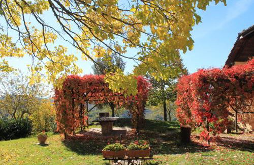 Country House Il Biroccio - Foto 20