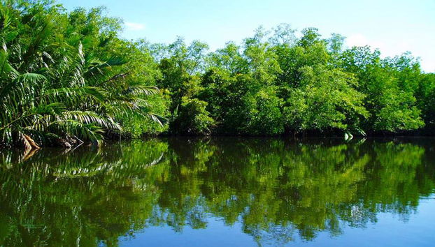 Safari sur le fleuve en anglais - journée complète - Photo 3