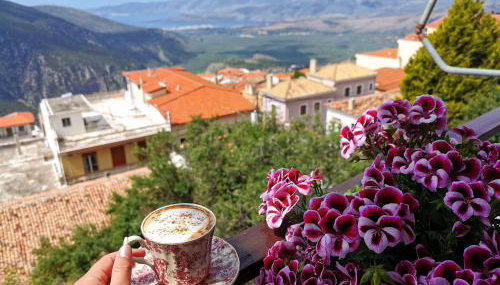 Delphic Horizons - Photo 4