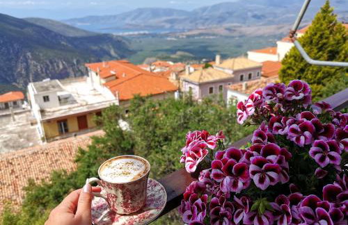 Delphic Horizons - Foto 4