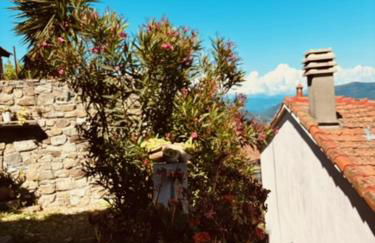 Al Castello - Photo 23