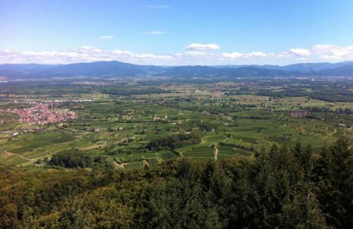 LandhausTrautwein - Foto 11