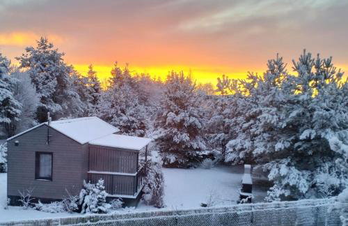 Janiołowo - Foto 16