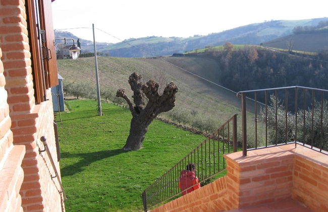 Agriturismo Serena - Photo 33