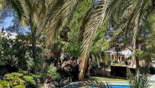 Apartamento Buganvilla Pool - Foto 1