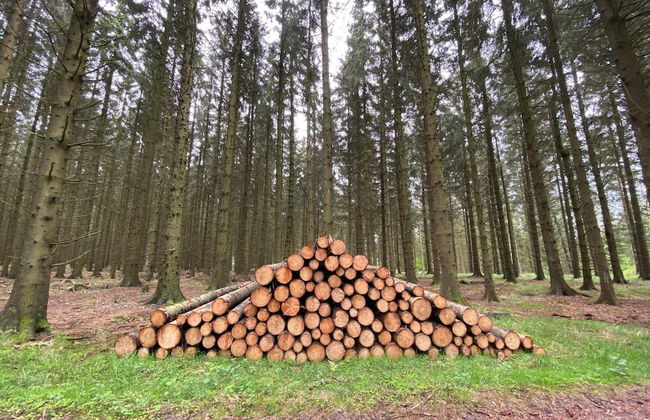 4 Person Holiday Home in Ostervra - Foto 6