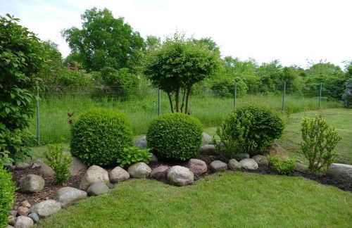 Ferienhaus Blomengoorn - Foto 40