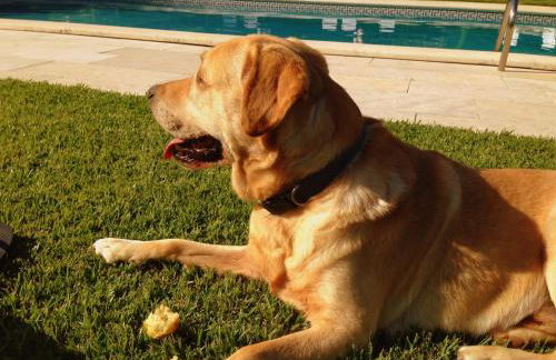 Otium Country House - Foto 38