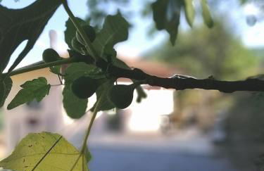 Villa Il Circolo Bassone - Foto 28